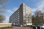 Isabellaland 1554, 's-Gravenhage: huis te huur