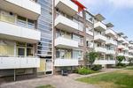 Steenzicht, 's-Gravenhage: huis te huur