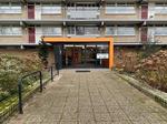 Steenvoordelaan 124, Rijswijk (provincie: Zuid Holland): huis te huur