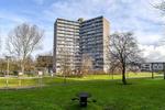 Zeewijkplein 202, IJmuiden: huis te koop