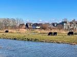 Pijlkruid 35, Alphen aan den Rijn: huis te koop