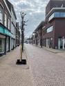 Stationsstraat, Oisterwijk: huis te huur