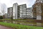 Buitenpepersdreef 155, 's-Hertogenbosch: huis te huur