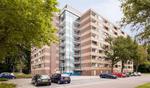 Fluitekruidweg 0 Ong, Zaandam: huis te huur
