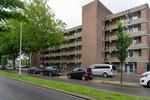 Noordsingel, Bergen op Zoom: huis te huur