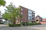 Havensingel, Eindhoven: huis te huur