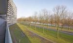 Pharus 0 Ong, Zaandam: huis te huur
