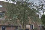 Kraaijenkampzoom 50, Koog aan de Zaan: huis te huur