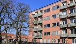 Ligusterstraat 0 Ong, Nijmegen: huis te huur