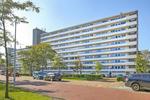 Honthorstlaan 244, Alkmaar: huis te koop