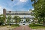 Honthorstlaan 384, Alkmaar: huis te koop