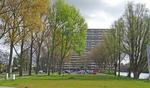 Oost-dorsch 0 Ong, Zaandam: huis te huur