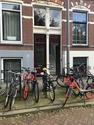 Provenierssingel 24 B, Rotterdam: huis te huur