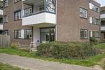 Tolhuis, Nijmegen: huis te huur