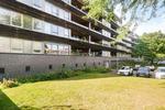 Hollandiahof, Schiedam: huis te huur
