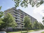 Amundsenlaan, Eindhoven: huis te huur
