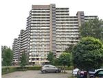 Groningensingel, Arnhem: huis te huur