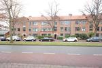 Burggravenlaan, Leiden: huis te huur