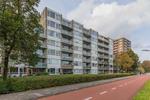 Madridplantsoen 81, Haarlem: huis te huur